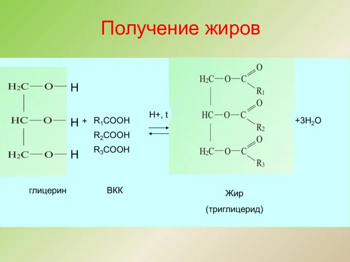 Получение жиров