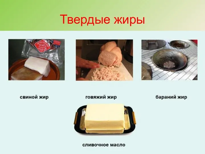 Твердые жиры