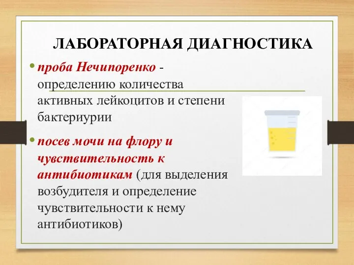 проба Нечипоренко - определению количества активных лейкоцитов и степени бактериурии посев мочи