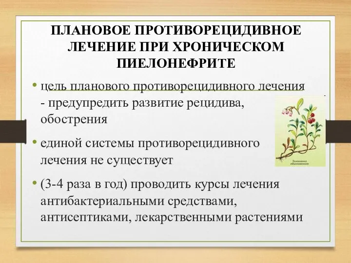 ПЛАНОВОЕ ПРОТИВОРЕЦИДИВНОЕ ЛЕЧЕНИЕ ПРИ ХРОНИЧЕСКОМ ПИЕЛОНЕФРИТЕ цель планового противорецидивного лечения - предупредить