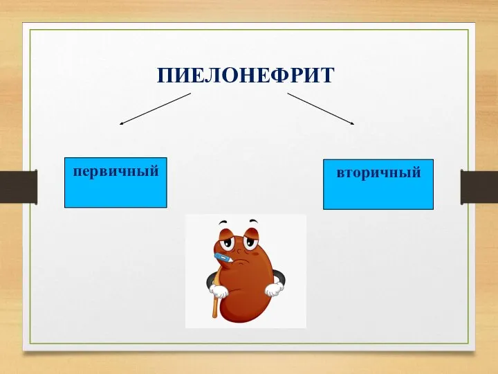 ПИЕЛОНЕФРИТ первичный вторичный