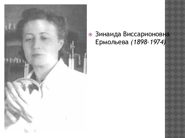 Зинаида Виссарионовна Ермольева (1898–1974)