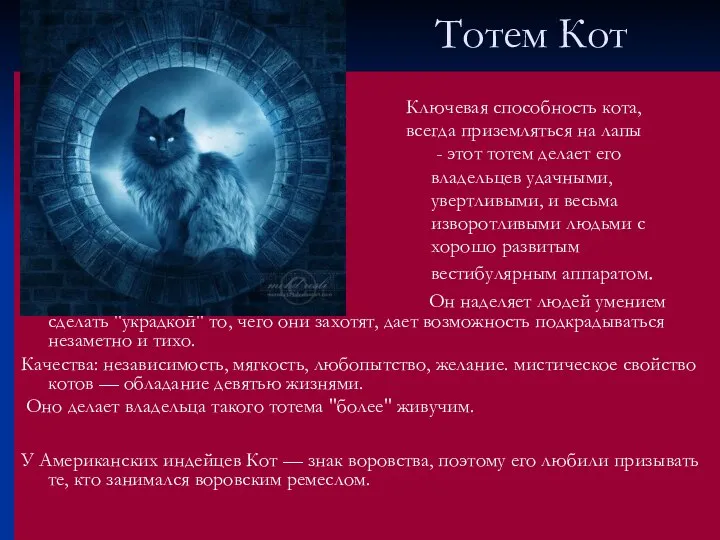 Тотем Кот Ключевая способность кота, всегда приземляться на лапы - этот тотем