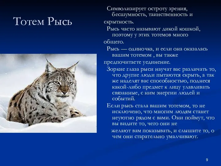 Тотем Рысь Символизирует остроту зрения, бесшумность, таинственность и скрытность. Рысь часто называют