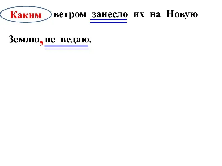 Каким ветром занесло их на Новую Землю не ведаю. Каким ,