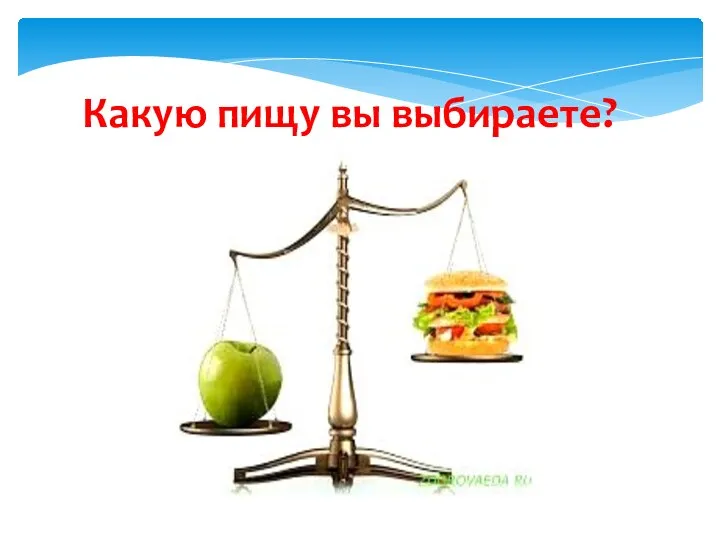 Какую пищу вы выбираете?