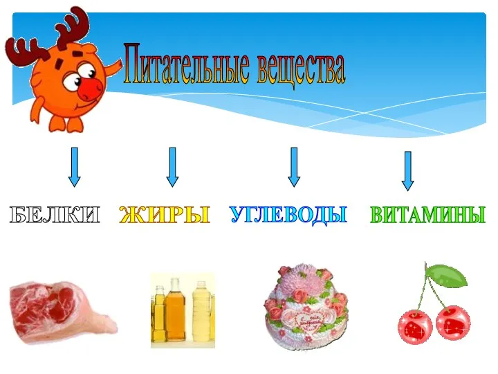 Питательные вещества БЕЛКИ ЖИРЫ УГЛЕВОДЫ ВИТАМИНЫ