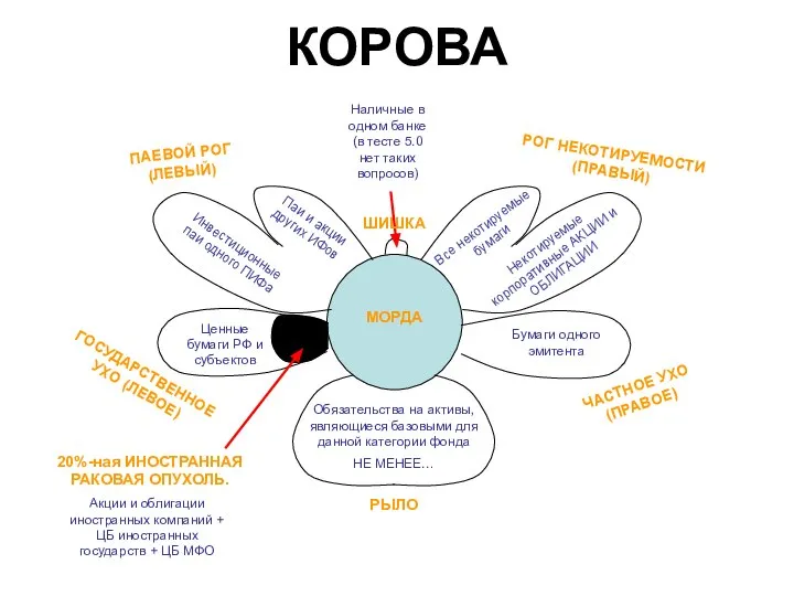 КОРОВА РОГ НЕКОТИРУЕМОСТИ (ПРАВЫЙ) ПАЕВОЙ РОГ (ЛЕВЫЙ) Наличные в одном банке (в