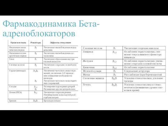 Фармакодинамика Бета-адреноблокаторов