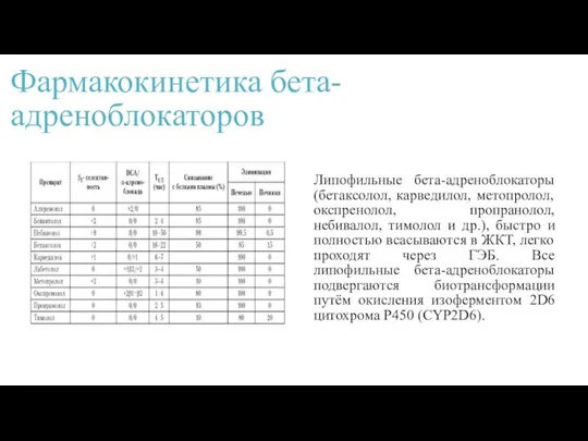 Фармакокинетика бета-адреноблокаторов Липофильные бета-адреноблокаторы (бетаксолол, карведилол, метопролол, окспренолол, пропранолол, небивалол, тимолол и