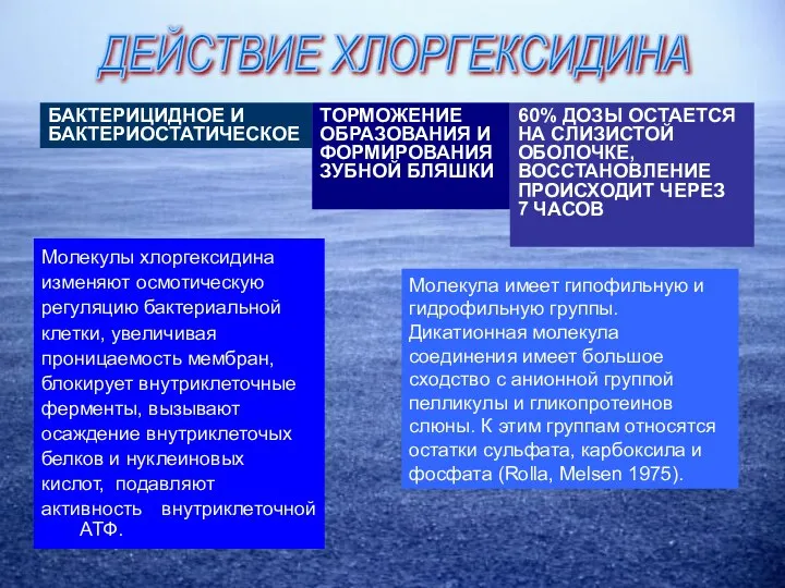 ДЕЙСТВИЕ ХЛОРГЕКСИДИНА БАКТЕРИЦИДНОЕ И БАКТЕРИОСТАТИЧЕСКОЕ ТОРМОЖЕНИЕ ОБРАЗОВАНИЯ И ФОРМИРОВАНИЯ ЗУБНОЙ БЛЯШКИ 60%