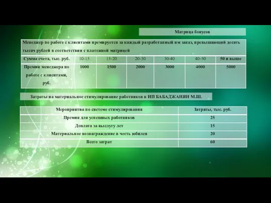 Матрица бонусов Затраты на материальное стимулирование работников в ИП БАБАДЖАНЯН М.Ш.