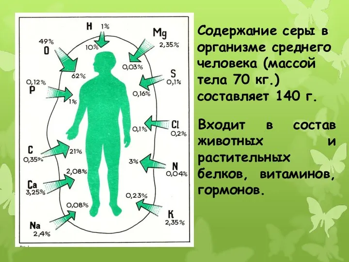 Содержание серы в организме среднего человека (массой тела 70 кг.) составляет 140