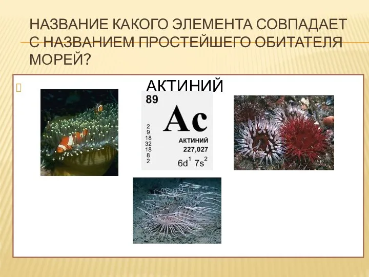 НАЗВАНИЕ КАКОГО ЭЛЕМЕНТА СОВПАДАЕТ С НАЗВАНИЕМ ПРОСТЕЙШЕГО ОБИТАТЕЛЯ МОРЕЙ? АКТИНИЙ