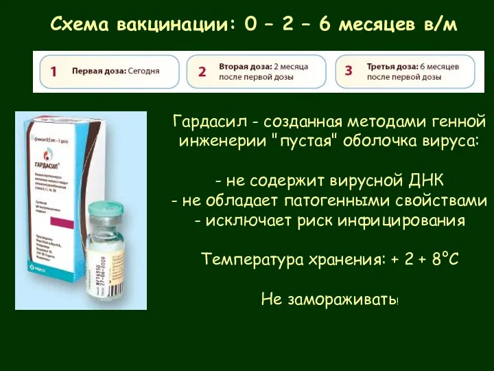 Гардасил - созданная методами генной инженерии "пустая" оболочка вируса: - не содержит