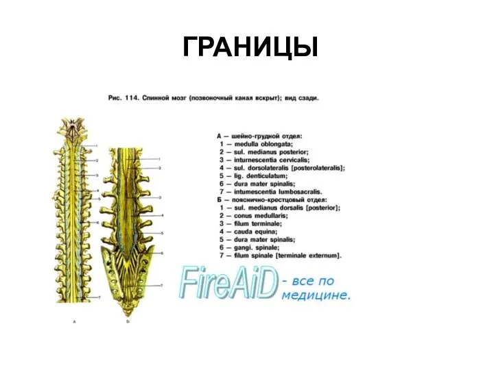 ГРАНИЦЫ