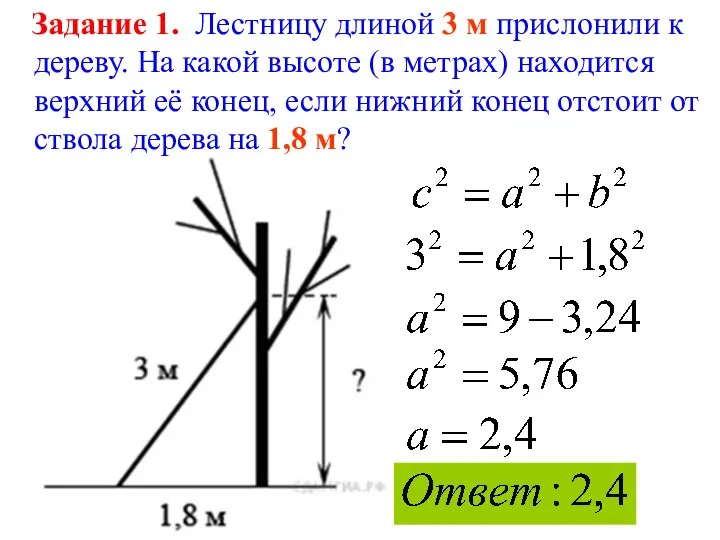 Задание 1. Лестницу длиной 3 м прислонили к дереву. На какой высоте