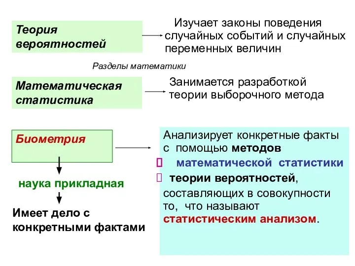 Теория вероятностей Математическая статистика Изучает законы поведения случайных событий и случайных переменных