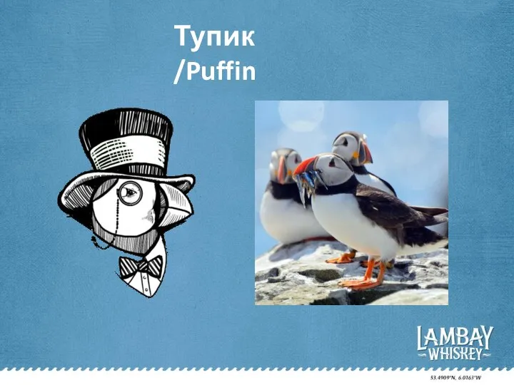 Тупик /Puffin