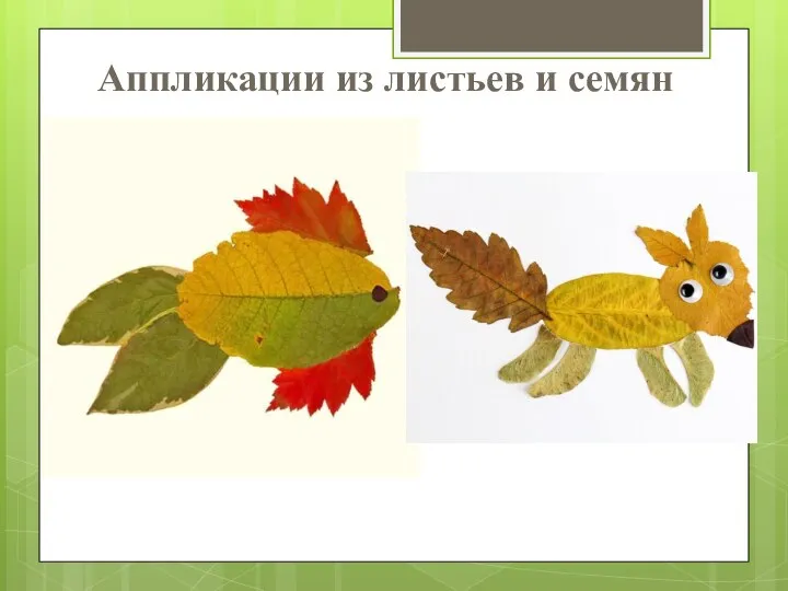 Аппликации из листьев и семян