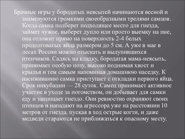 Брачные игры у бородатых неясытей начинаются весной и знаменуются громкими своеобразными трелями