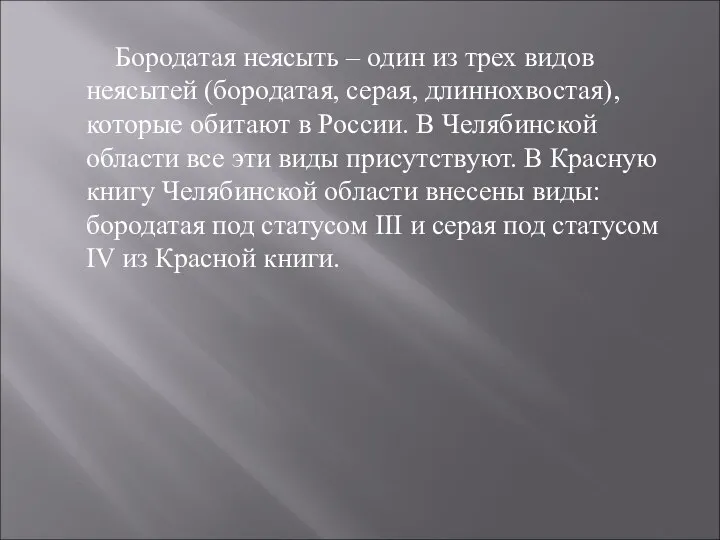 Бородатая неясыть – один из трех видов неясытей (бородатая, серая, длиннохвостая), которые