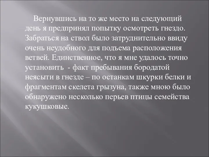 Вернувшись на то же место на следующий день я предпринял попытку осмотреть