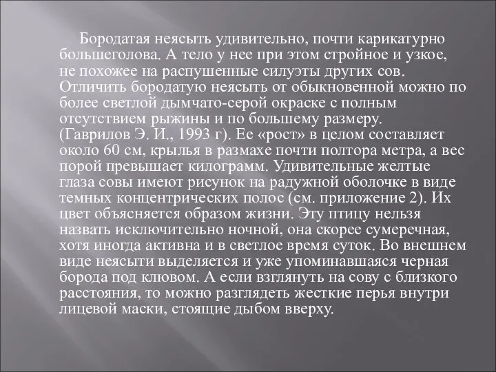 Бородатая неясыть удивительно, почти карикатурно большеголова. А тело у нее при этом