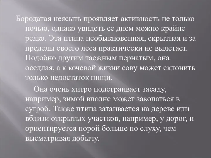 Бородатая неясыть проявляет активность не только ночью, однако увидеть ее днем можно