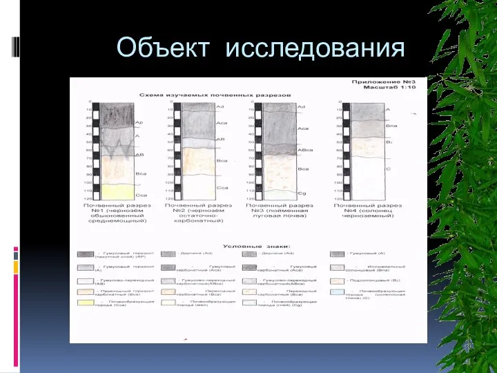 Объект исследования