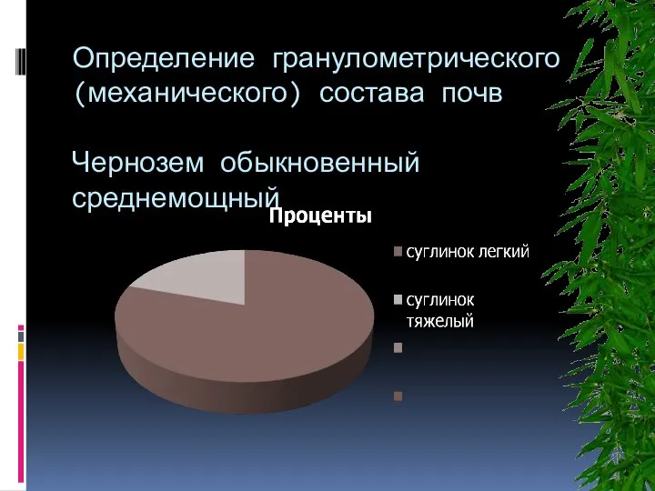 Определение гранулометрического (механического) состава почв Чернозем обыкновенный среднемощный