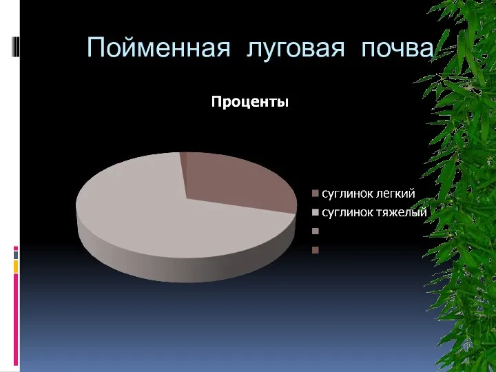 Пойменная луговая почва