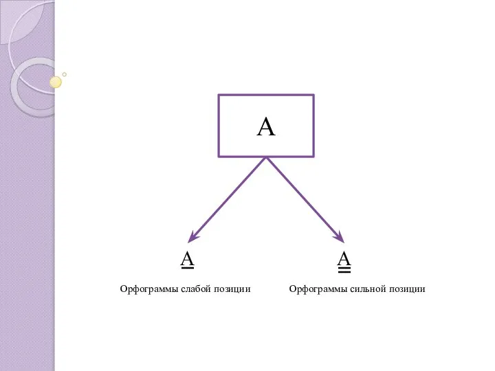 А А А Орфограммы слабой позиции Орфограммы сильной позиции