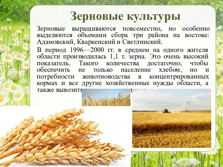 Зерновые культуры Зерновые выращиваются повсеместно, но особенно выделяются объемами сбора три района