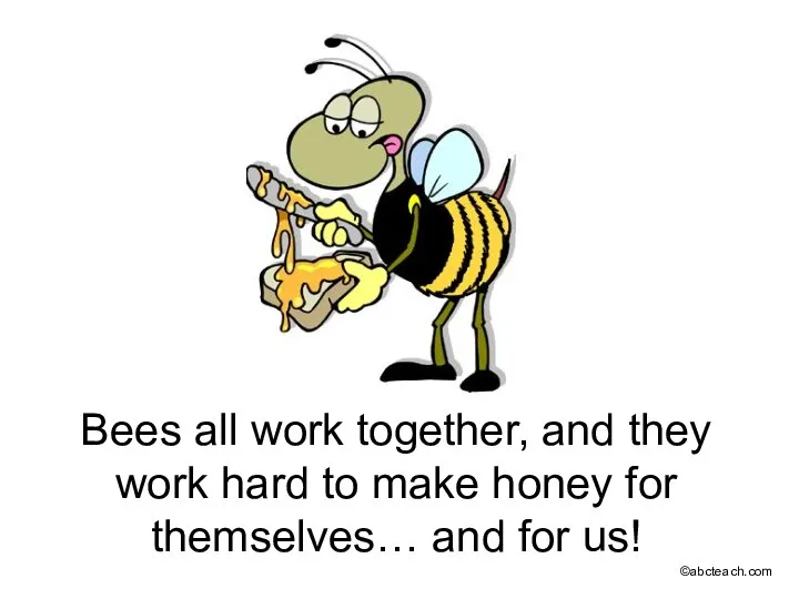 Bees all work together, and they work hard to make honey for