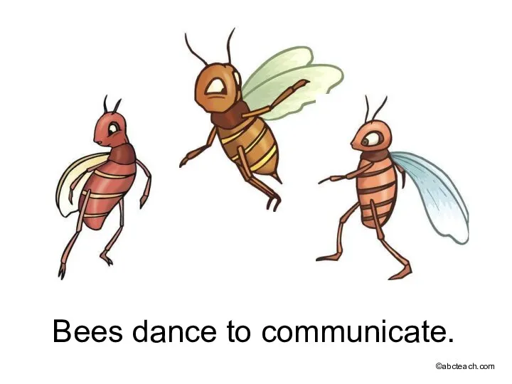 Bees dance to communicate. ©abcteach.com