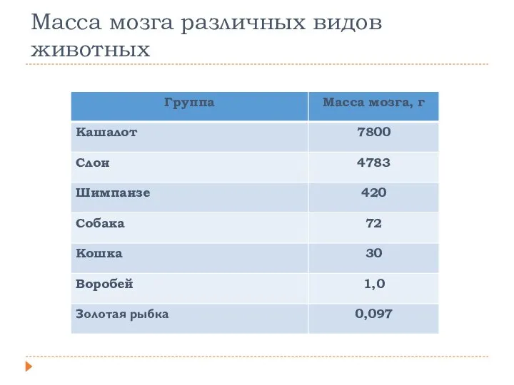 Масса мозга различных видов животных