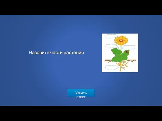 Узнать ответ Назовите части растения