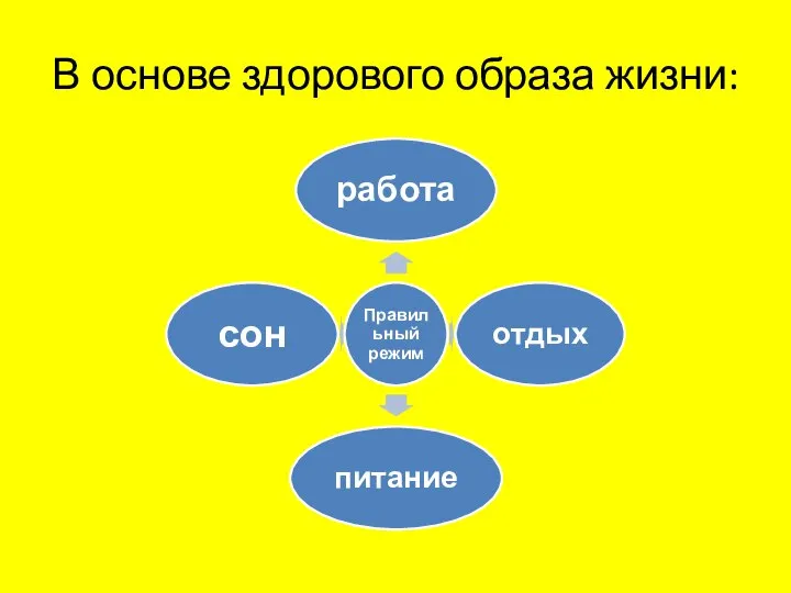 В основе здорового образа жизни: