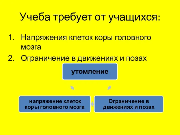 Учеба требует от учащихся: Напряжения клеток коры головного мозга Ограничение в движениях и позах