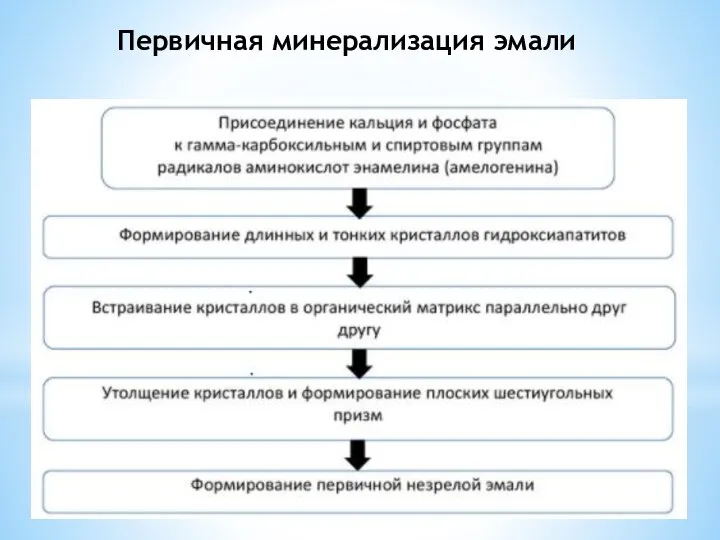 Первичная минерализация эмали