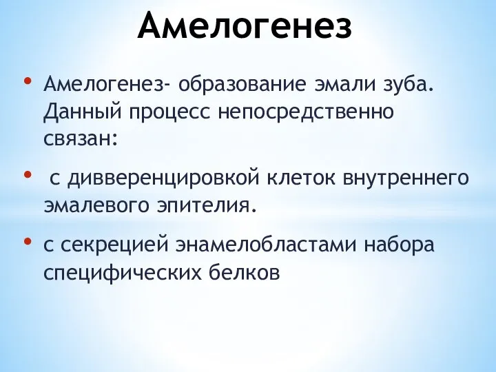 Амелогенез- образование эмали зуба. Данный процесс непосредственно связан: с дивверенцировкой клеток внутреннего