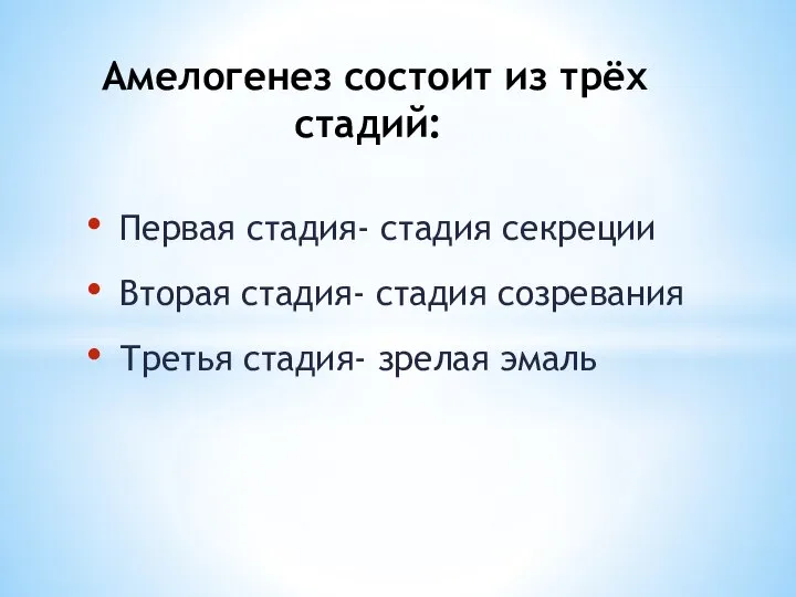 Первая стадия- стадия секреции Вторая стадия- стадия созревания Третья стадия- зрелая эмаль