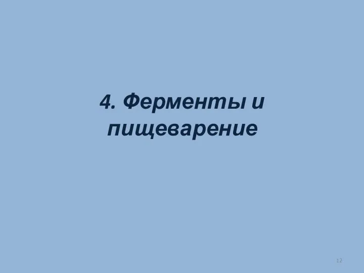 4. Ферменты и пищеварение