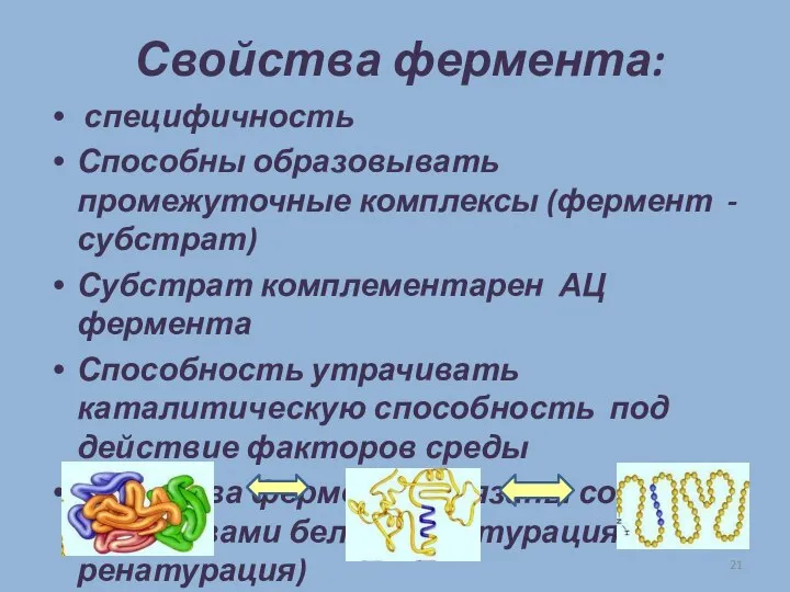 Свойства фермента: специфичность Способны образовывать промежуточные комплексы (фермент - субстрат) Субстрат комплементарен