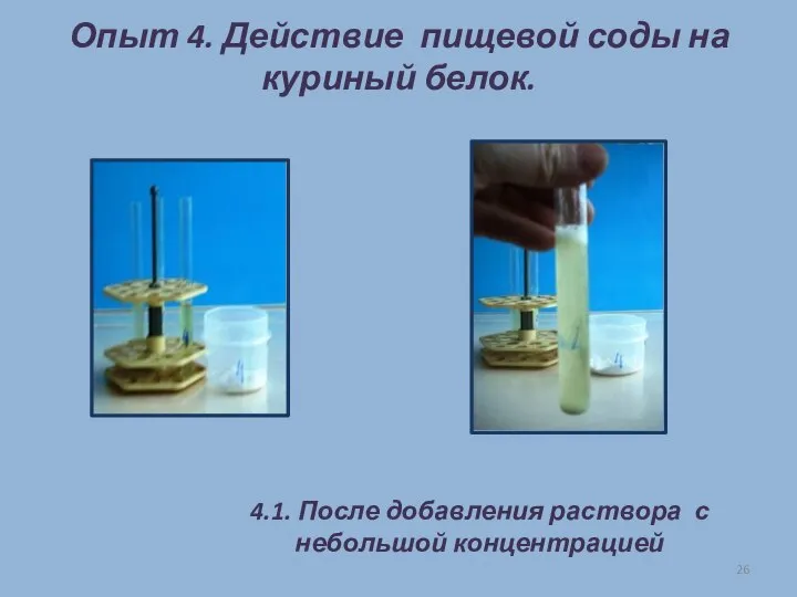 Опыт 4. Действие пищевой соды на куриный белок. 4.1. После добавления раствора с небольшой концентрацией
