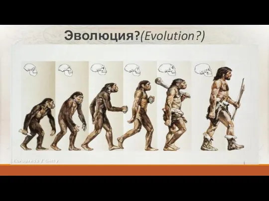 Эволюция?(Evolution?)