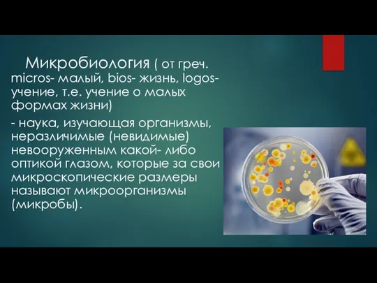 Микробиология ( от греч. micros- малый, bios- жизнь, logos- учение, т.е. учение