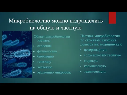 Микробиологию можно подразделить на общую и частную Общая микробиология изучает: строение физиологию