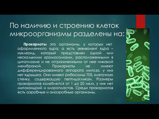 По наличию и строению клеток микроорганизмы разделены на: Прокариоты это организмы, у